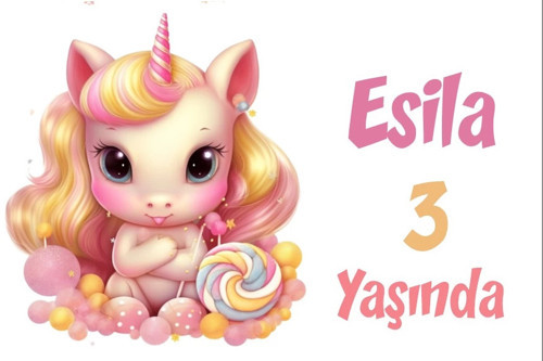 Pembe Unicorn Temalı Doğum Günü Afişi -4 100X150 cm
