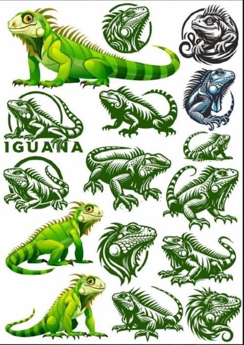 İguana Sticker Set