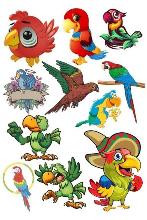 Papağan Sticker Set-1 12 Parça Telefon, Tablet, Defter, Laptop Sticker