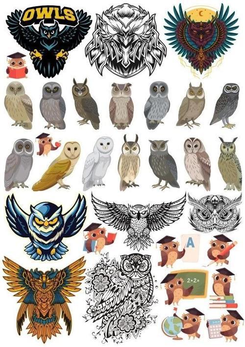 Baykuş Sticker Set 20 Parça Telefon, Tablet, Defter, Laptop Sticker