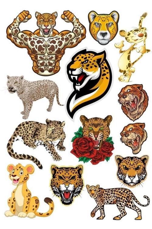 Kaplan Sticker Set-5 15 Parça Telefon, Tablet, Defter, Laptop Sticker