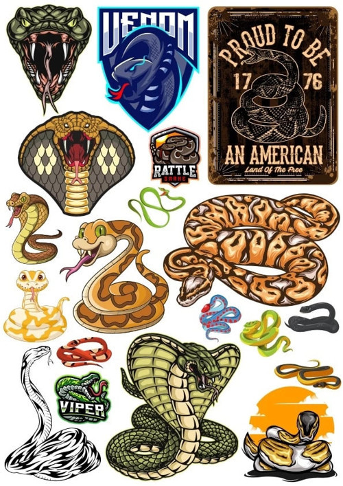 Yılan Sticker Set 1 15 Parça Telefon, Tablet, Defter, Laptop Sticker