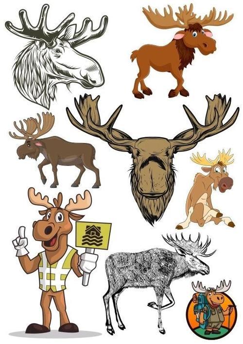 Geyik Sticker Set-1 8 Parça Telefon, Tablet, Defter, Laptop Sticker