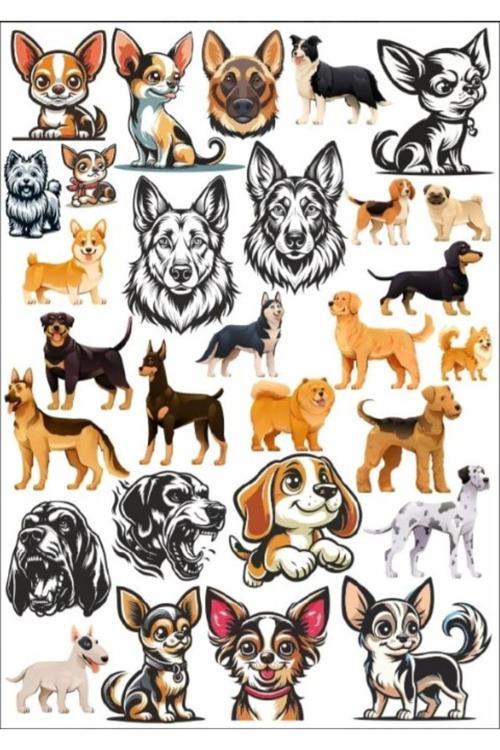 Sevimli Köpek Sticker Set 3