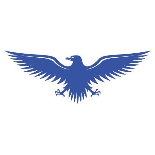 Kartal Sticker17x17 Cm Mavi