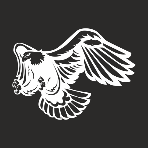 Kartal Sticker17x17 Cm Beyaz