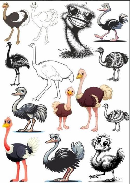 Deve Kuşu Sticker Set