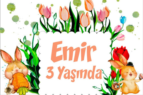 Tavşanlar Temalı Doğum Günü Afişi -1 35X50 cm