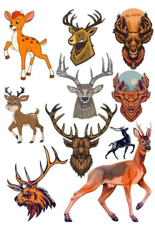 Sevimli Geyik Sticker Set-1 10 Parça Telefon, Tablet, Defter, Laptop Sticker