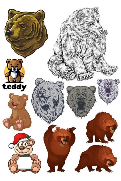 Ayı Sticker Set-5 10 Parça Telefon, Tablet, Defter, Laptop Sticker