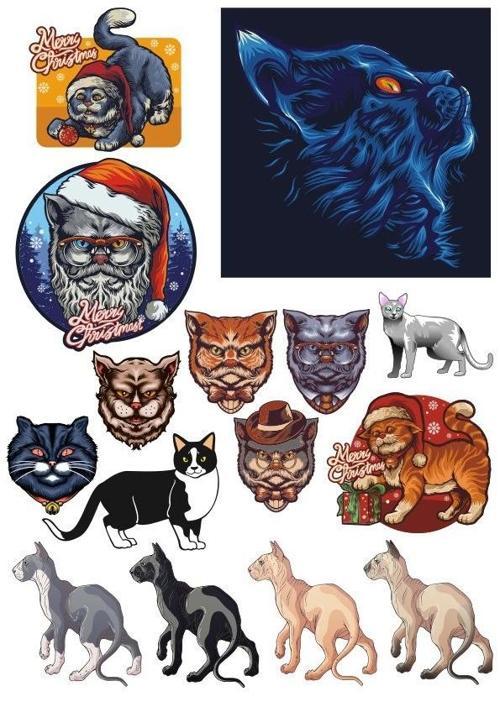 Kedi Sticker Set-1 15 Parça Telefon, Tablet, Defter, Laptop Sticker