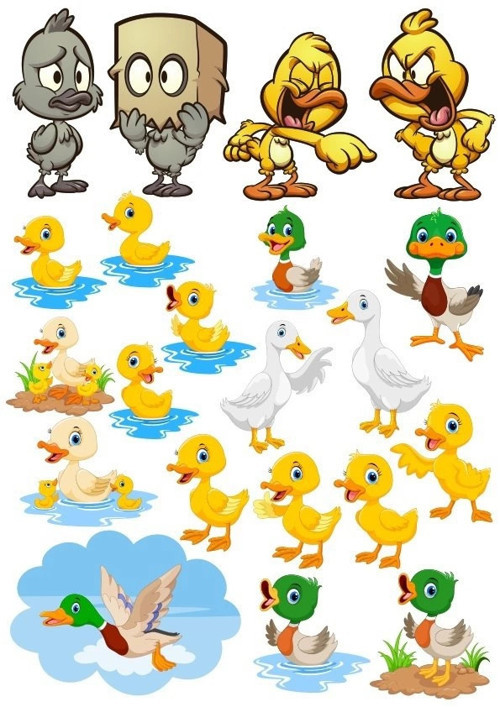 Ördek Temalı Sticker Set-2 18 Parça Telefon, Tablet, Defter, Laptop Sticker