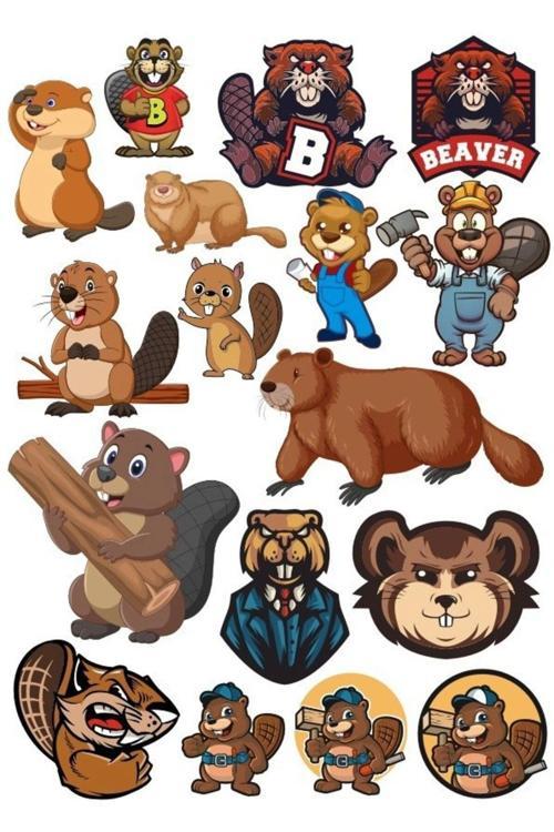 Kostebek sticker Set 15 Parça Telefon, Tablet, Defter, Laptop Sticker