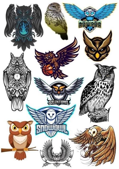 Baykuş Owl Sticker Set-2 13 Parça Telefon, Tablet, Defter, Laptop Sticker