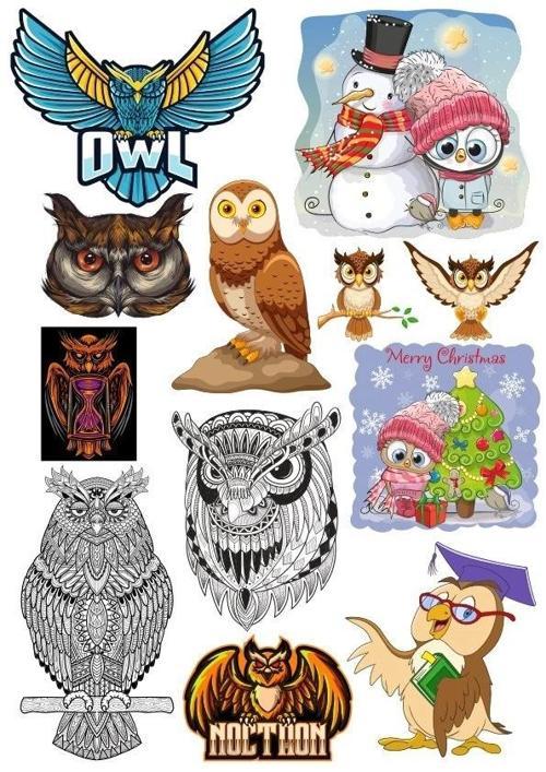 Baykuş Owl Sticker Set 11 Parça Telefon, Tablet, Defter, Laptop Sticker