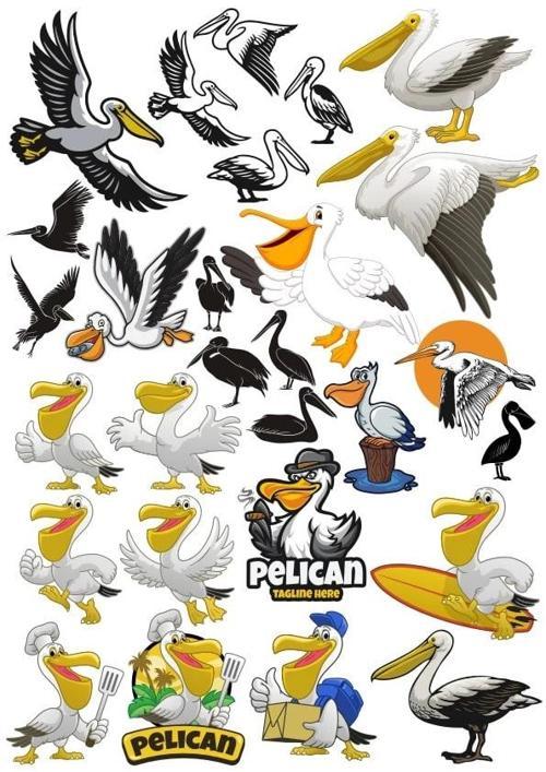Pelikan Sticker Set 20 Parça Telefon, Tablet, Defter, Laptop Sticker