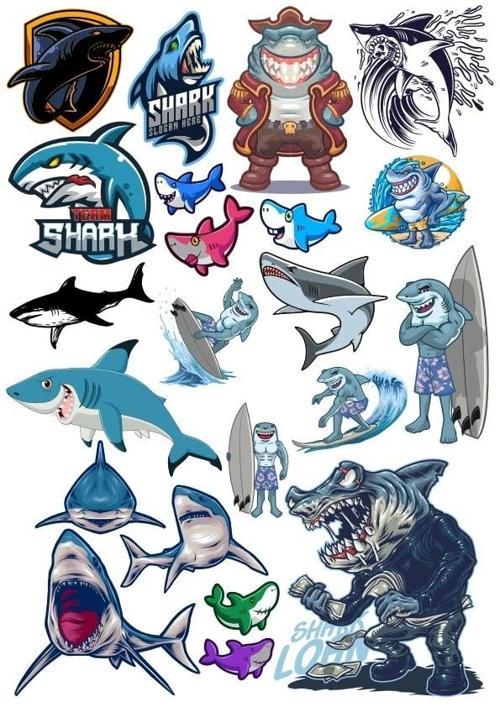 Köpek Balığı Sticker Set 2 16 Parça Telefon, Tablet, Defter, Laptop Sticker