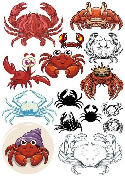 Yengeç Sticker Set-2 13 Parça Telefon, Tablet, Defter, Laptop Sticker