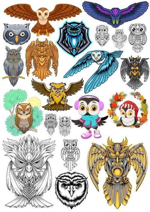 Baykuş Sticker Set 13 20 Parça Telefon, Tablet, Defter, Laptop Sticker