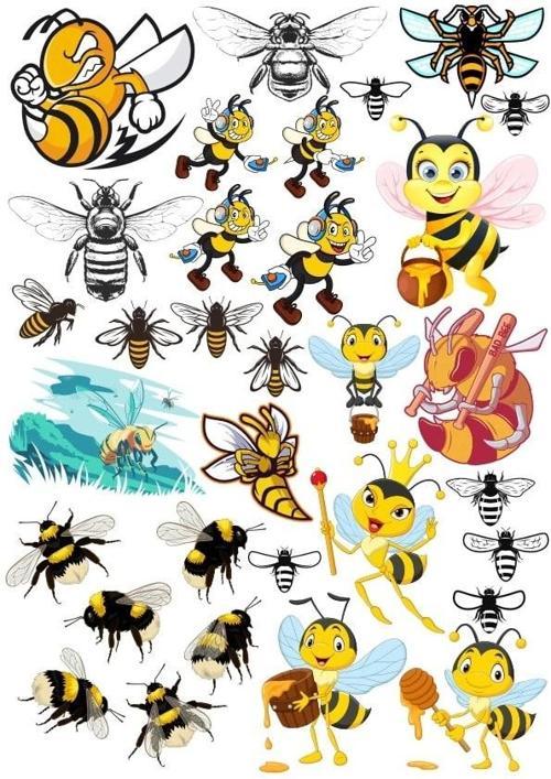 Arılar Sticker Set 2 20 Parça Telefon, Tablet, Defter, Laptop Sticker