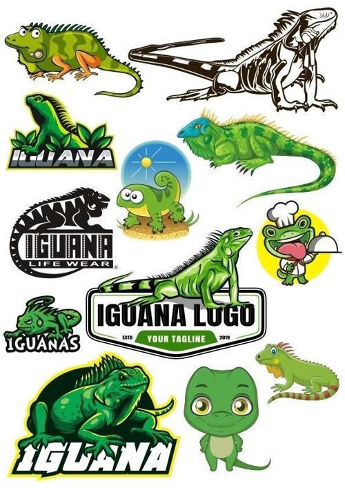 İguana Sticker Set-2 12 Parça Telefon, Tablet, Defter, Laptop Sticker