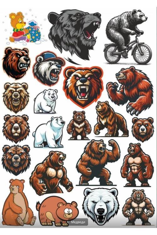 Kızgın Ayı Sticker Set 2