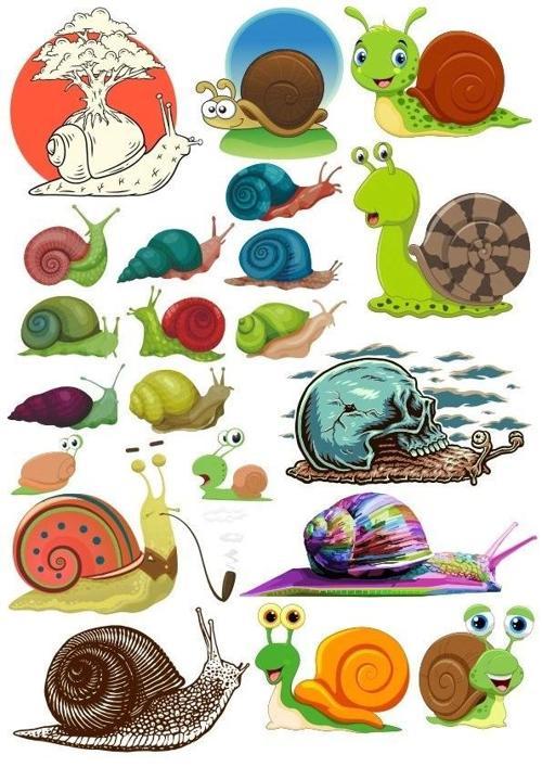 Salyangoz Sticker Set 5 20 Parça Telefon, Tablet, Defter, Laptop Sticker