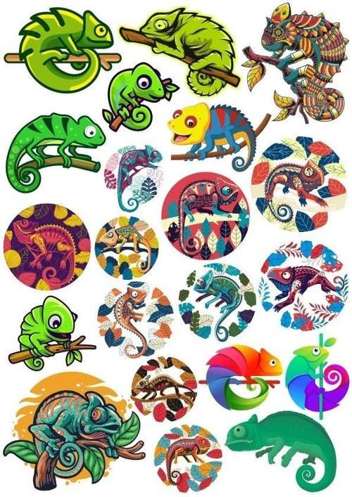 Bukalemun Sticker Set 20 Parça Telefon, Tablet, Defter, Laptop Sticker