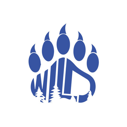 Wild Sticker 17x17 Cm Mavi
