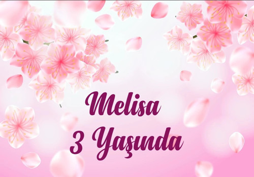 Pembe Çiçekler Temalı Doğum Günü Afişi 70X100 cm