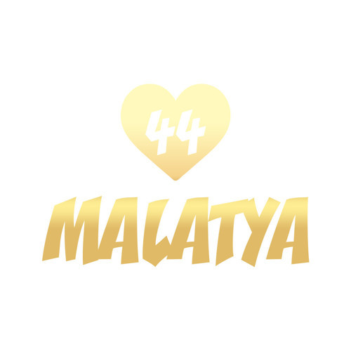 Kalpli 44 Malatya Araba Sticker 17x17 Cm Gold