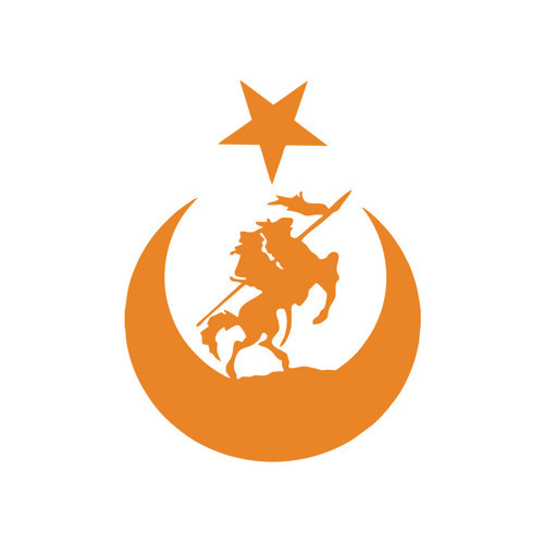Akıncı ve Ay Yıldız Türk Bayrağı Araba Sticker 17x17 Cm Turuncu
