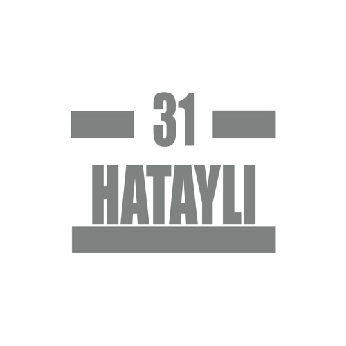 31 Hataylı Araba Sticker 17x17 Cm Gri