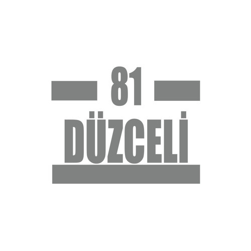 81 Düzceli Araba Sticker 17x17 Cm Gri
