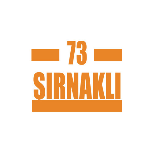 73 Şırnaklı Araba Sticker 17x17 Cm Turuncu