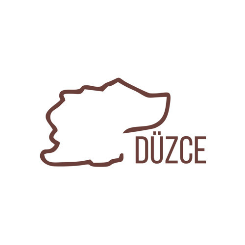 Düzce Harita Araba Sticker 17x17 Cm Kahverengi