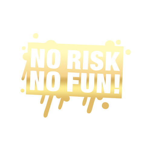 No Risk No Fun Araba Sticker 17x17 Cm Gold