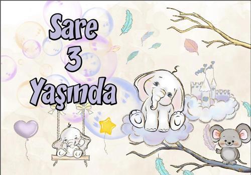 Sevimli Hayvanlar Temalı Doğum Günü Afişi 50X70 cm