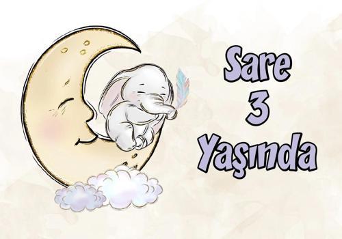 Sevimli Hayvanlar Temalı Doğum Günü Afişi 100X150 cm