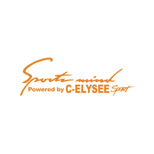Sports Mind CITROEN C-ELYSE ESports Sticker 17x17 Cm Turuncu