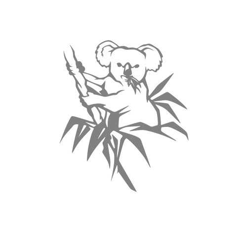 Koala Sticker 17x17 Cm Gri