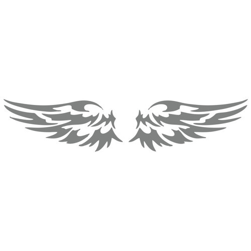 Çift Kanat Oto Logo Sticker 17x17 Cm Gri