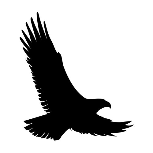 Uçan Kartal Sticker17x17 Cm Siyah
