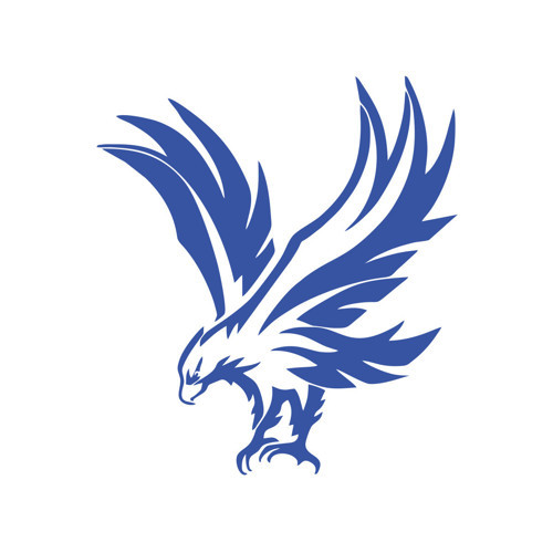 Kartal Araba Sticker 17x17 Cm Mavi
