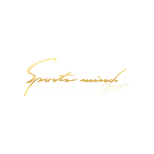 Sports Mind CHEVROLET AVEO Sports Sticker 17x17 Cm Gold