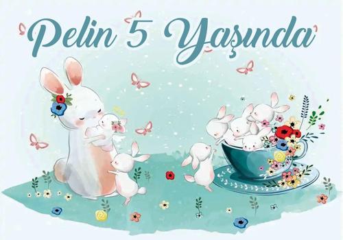 Tavşan Temalı Doğum Günü Afişi 70X100 cm