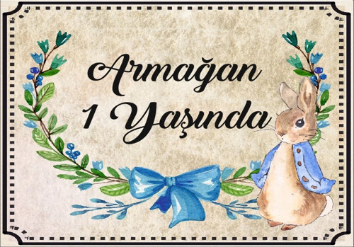 Tavşan Temalı Doğum Günü Afişi 35X50 cm
