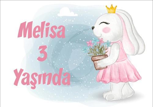 Tavşan Temalı Doğum Günü Afişi 50X70 cm