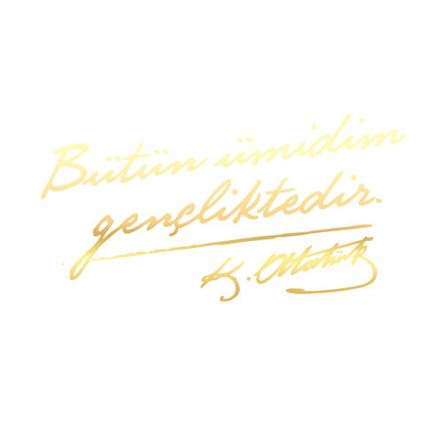 Bütün Ümidim Gençliktedir Araba Sticker 17x17 Cm Gold