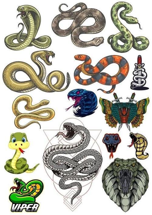 Yılan Sticker Set-3 13 Parça Telefon, Tablet, Defter, Laptop Sticker